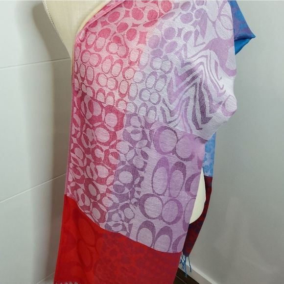 Pashmina Accessories - Pashmina Multicolor Scarf  27"×70"